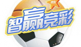 中国竞彩网,揭秘体育赛事投注新趋势